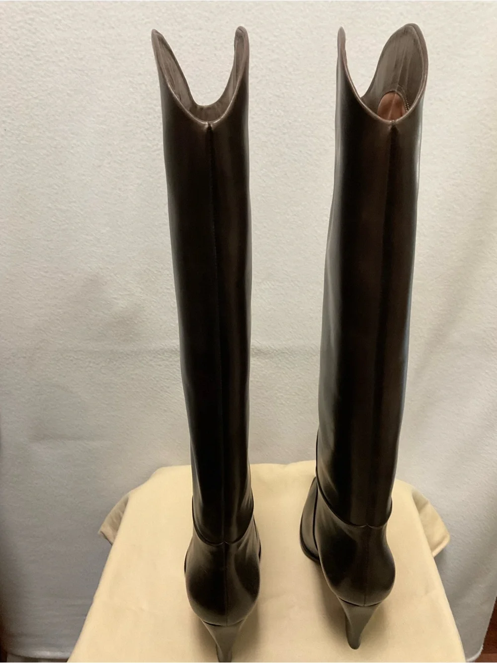 Santoni Tall Pointed-Toe Over-the-Knee Leather Boots in Dark Brown